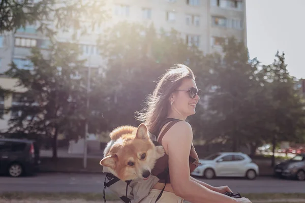 Счастливая Улыбающаяся Женщина Путешественник Едет Электроскутере Городском Парке Собакой Уэльс — стоковое фото