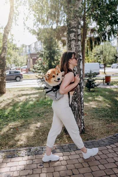 Счастливая Улыбающаяся Женщина Гуляет Городскому Парку Собакой Уэлш Корги Пемброк — стоковое фото