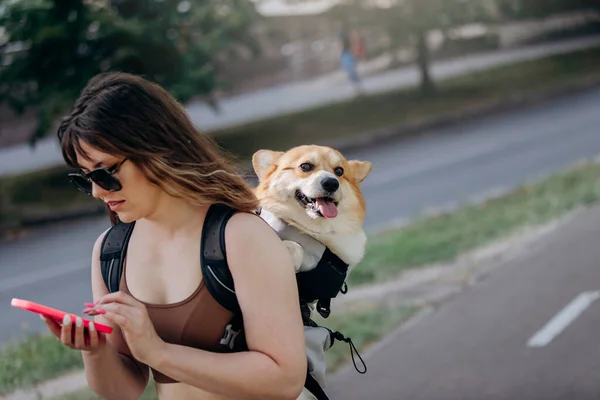 Young Woman Traveler Walking Outdoors Using Phone City Parkland Dog —  Fotos de Stock