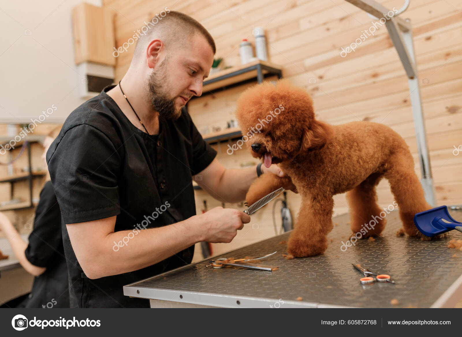 Dog Grooming Shears for Poodles (January 2024) - Magix Shears