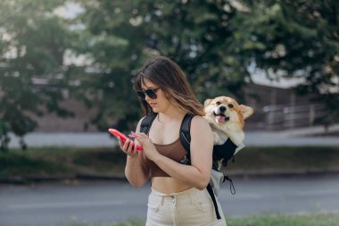 Young woman traveler is walking outdoors and using phone in city parkland with dog Welsh Corgi Pembroke in a special backpack