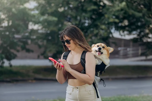 Young Woman Traveler Walking Outdoors Using Phone City Parkland Dog — Foto de Stock