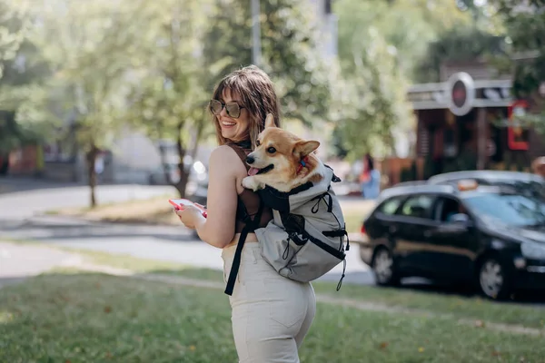 Happy Smiling Woman Walking Outdoors City Parkland Dog Welsh Corgi — Foto Stock