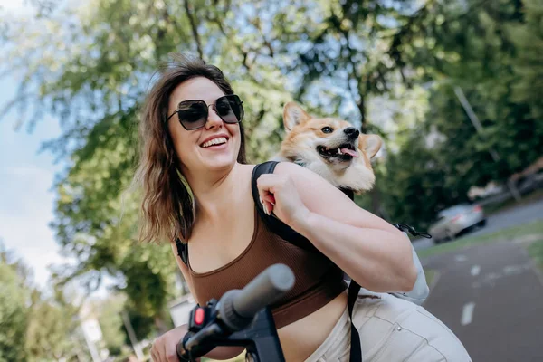 Счастливая Улыбающаяся Женщина Путешественник Едет Электроскутере Городском Парке Собакой Уэльс — стоковое фото