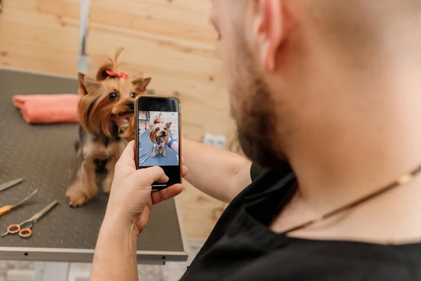 Професійний Чоловік Groomer Робить Фотографію Клієнтом Собаки Після Процедури Догляду — стокове фото