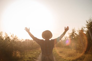 Gün batımında meyve bahçesinde dikilen ve ellerini kaldıran erkek çiftçinin dikiz görüntüsü. Boşluğu kopyala