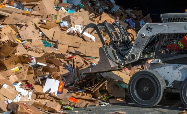 Victoria, British Columbia / Kanada - 30 / 04 / 2019: Bir vaşak operatörü ticari bir geri dönüşüm tesisinde işlenmek üzere karton yığınları yığıyor.