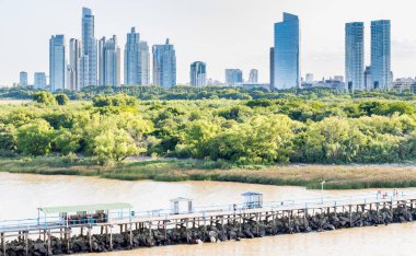 Buenos Aries Arjantin - 19 Ocak 2020: Limandan Buenos Aries 'in ufuk çizgisi.