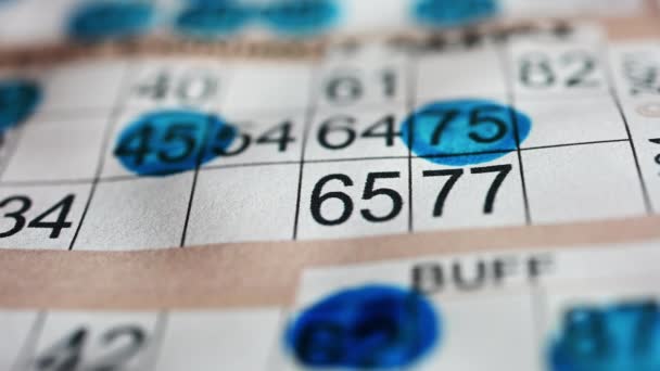Giocare Bingo Segnare Numeri Con Pennarello Blu Filmati Alta Qualità — Video Stock