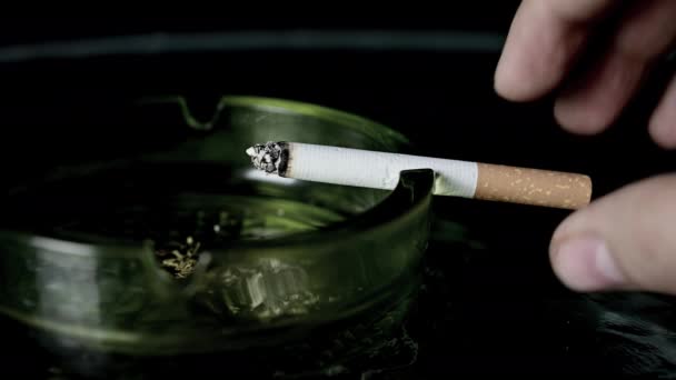 Lit Cigarro Queimando Cinzeiro Perto — Vídeo de Stock
