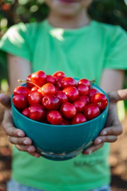 Çocuk elinde kırmızı kirazlı bir tabak tutuyor.