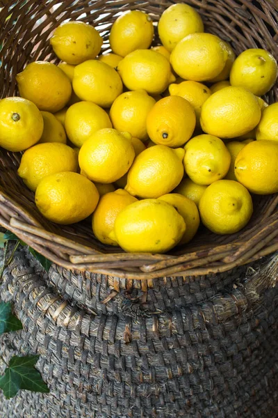 Olgun limonlarla dolu eski hasır sepet..