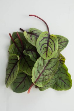 Vejetaryen ve beyaz arka planda taze mikroyeşil.