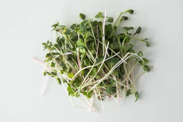 Vegan Fresh Microgreen White Background — Fotografia de Stock