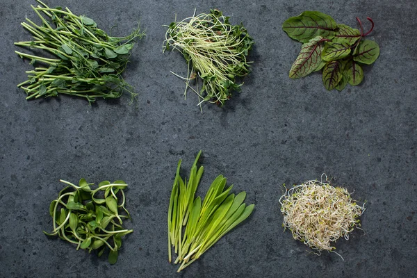 Farklı türde mikroyeşillikler. Vejetaryen ve siyah arka planda taze mikroyeşil