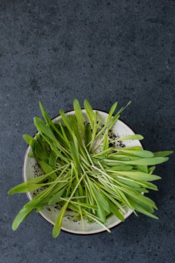 Seramik kasede vejetaryen ve taze mikroyeşil..