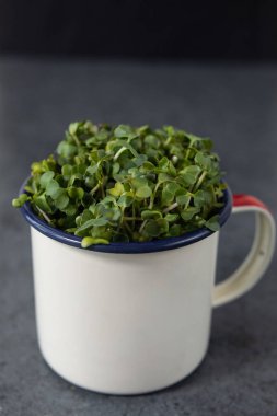 Vejetaryen ve taze mikroyeşil metal bardakta..