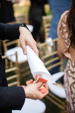 Düğün törenindeki bir konuk eline gül yaprakları döküyor..