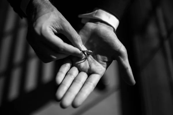 Two Wedding Rings Hands Groom — Stock Photo, Image