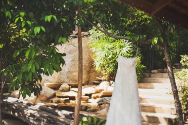 Ağaçta asılı bej bir gelinlik.