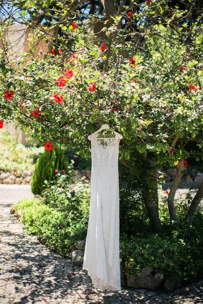 Wedding Dress Hanging Tree Flowers — Stock Photo, Image