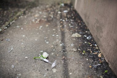 Shards from wedding glasses on the floor. Wedding traditions