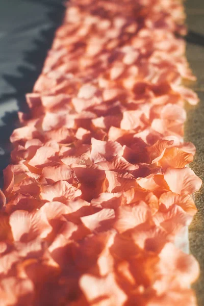 Rose petals on the floor at the wedding ceremony.