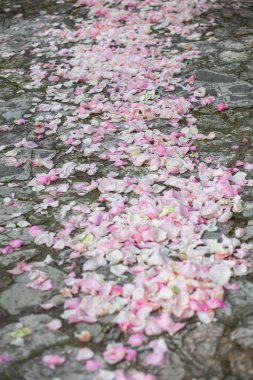 Path of rose petals at the wedding ceremony.