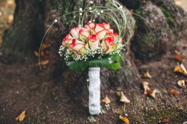 Colorful wedding bouquet stands by the tree.