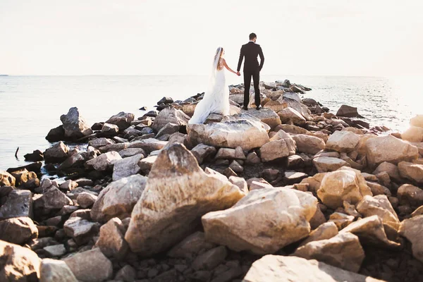 Noiva Noivo Seu Dia Casamento — Fotografia de Stock