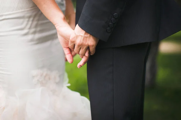 Bride Groom Hold Each Other Hands — Stock Photo, Image