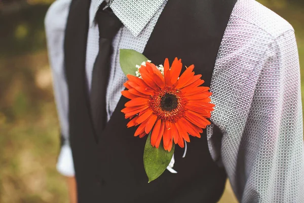 Elegant Wedding Boutonniere Groom Suit — Fotografia de Stock