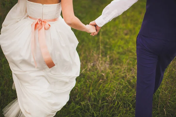 Bride Groom Hold Each Other Hands — Stock Photo, Image