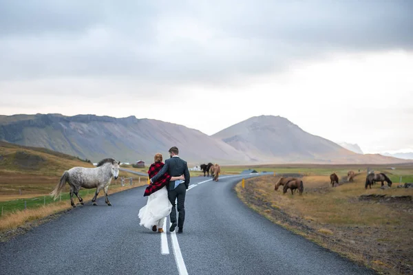 Bride Groom Wedding Day Newlyweds Walking Road Horses — Stok fotoğraf