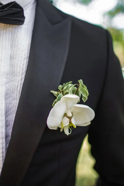 Elegant Wedding Boutonniere Groom Suit — Fotografia de Stock