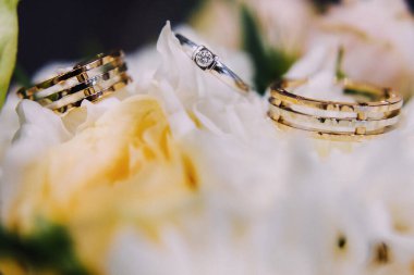 Three wedding rings lie on white flowers.