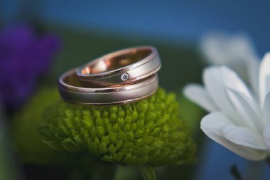 Two wedding rings on a green flower.