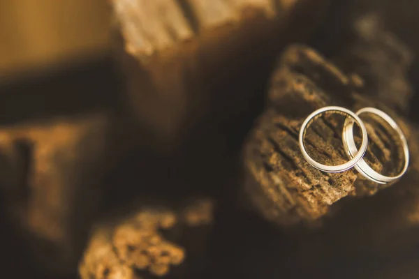Two Wedding Rings Brown Stone — Stockfoto