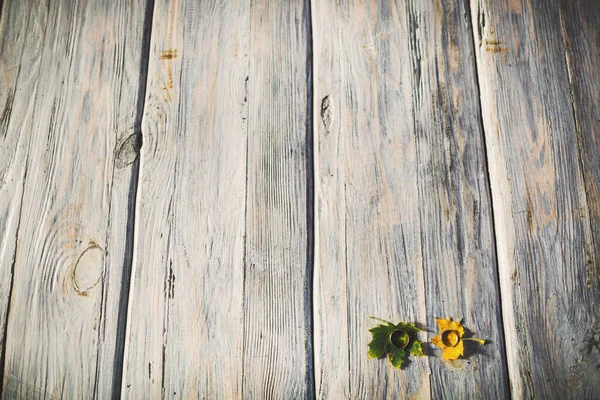 Two Wedding Rings Leaves Wooden Background — Stockfoto