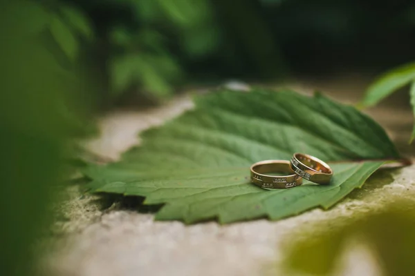 Two Wedding Rings Lie Leaf — Fotografia de Stock