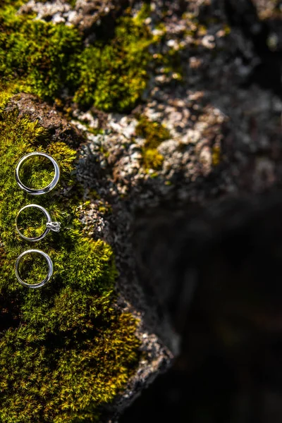 Three Wedding Rings Green Icelandic Moss — Stockfoto