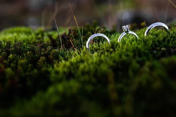 Three Wedding Rings Green Icelandic Moss — Stockfoto