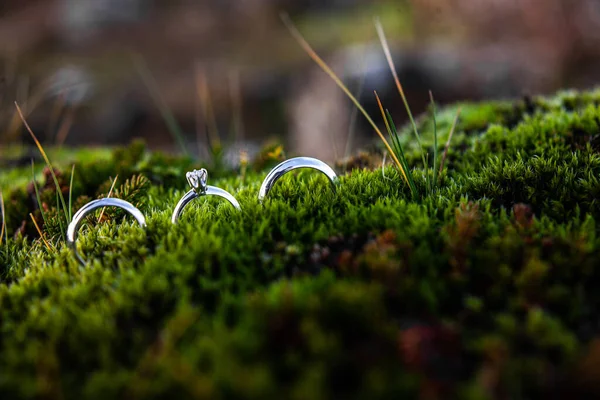 Three Wedding Rings Green Icelandic Moss — Stockfoto