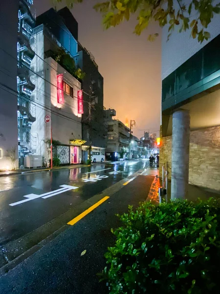 Tóquio, Japão - 17 de novembro de 2019: Cena chuvosa noturna da rua de Tóquio — Fotografia de Stock