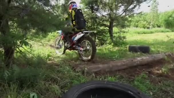 Motocross Road Och Skogen Extrema Sporter Sport Motorcyklar Barn Som — Stockvideo