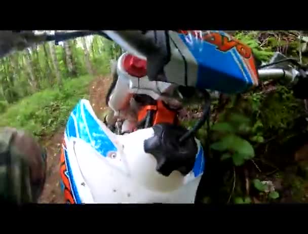 モトクロスオフロードや森の中で 極端なスポーツ スポーツバイク 子供たちは 森の中で夏の日にオートバイ 日本のオートバイ モトクロスでバイク 乗馬や鋭いターンを駆動します — ストック動画