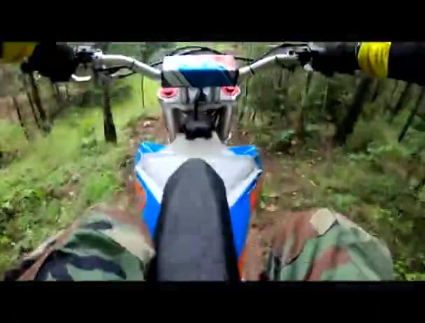 越野车 在森林里 极限运动 摩托车 孩子们骑摩托车 骑摩托车 骑摩托车 骑摩托车 日本摩托车 夏天在森林里越野车 — 图库视频影像