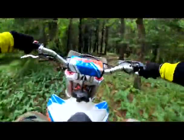 Motocross Road Och Skogen Extrema Sporter Sport Motorcyklar Barn Som — Stockvideo