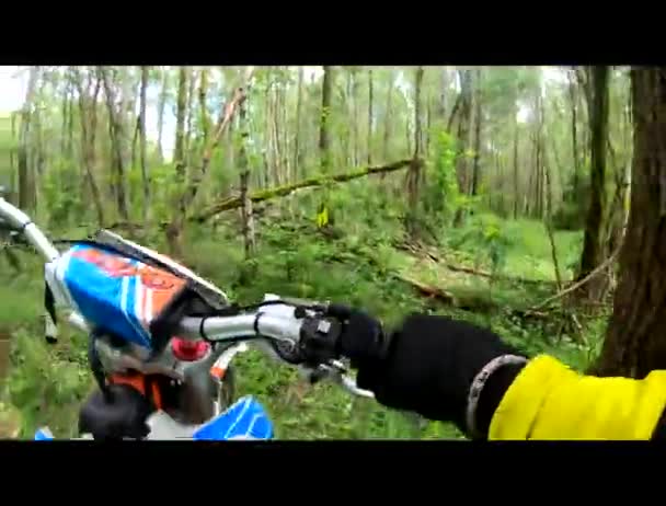 Motocross Hors Route Forêt Sports Extrêmes Motos Sportives Enfants Conduisant — Video