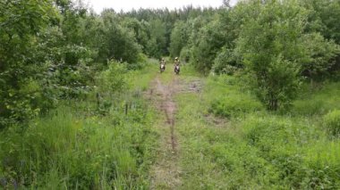 Minsk Belarus, 15.08.2021 yarışçı Nikita Pinkerton antrenörü Andrey Pinkerton slmowmo, off-road ve ormanda, ekstrem çocuklar yaz günü motosiklet, Japon motosikletleri 